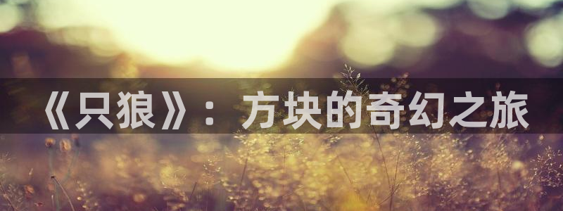 亿万28智邦(北京)品牌策划有限公司：《只狼》：方块的奇幻之旅