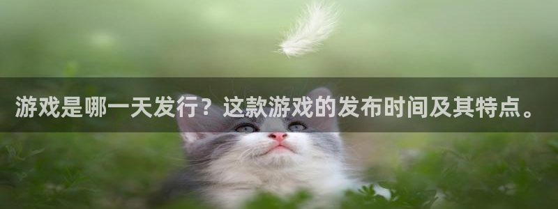亿万28官网平台注册账号注意事项：游戏是哪一天发行？这款游戏的发布时间及其特点。