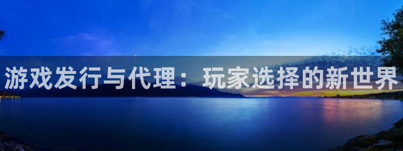 亿万28官网登录注册不了怎么回事：游戏发行与代理：玩家选择的新世界