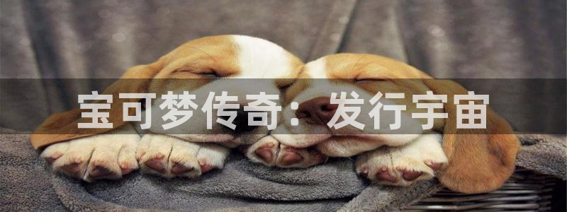 亿万28龙：宝可梦传奇：发行宇宙