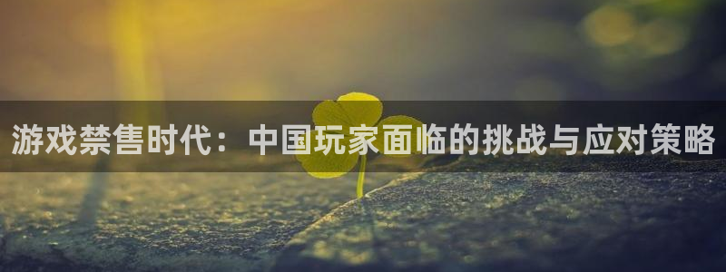 亿万28官网注册方法是什么：游戏禁售时代：中国玩家面临的挑战与应对策略