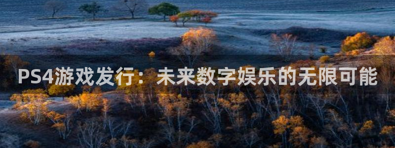 亿万28官网注册登录失败：PS4游戏发行：未来数字娱乐的无限可能