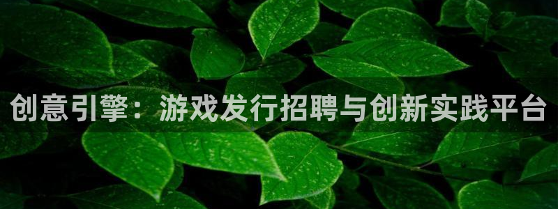 亿万28男装品牌：创意引擎：游戏发行招聘与创新实践平台