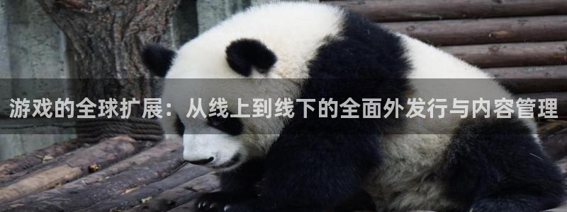 亿万28集团：游戏的全球扩展：从线上到线下的全面外发行与内容管理