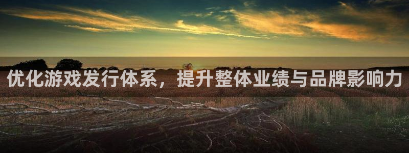 广州亿万28网络科技有限公司电话：优化游戏发行体系，提升整体业绩与品牌影响力