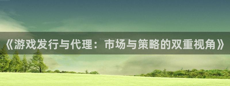 亿万28官网注册平台：《游戏发行与代理：市场与策略的双重视角》