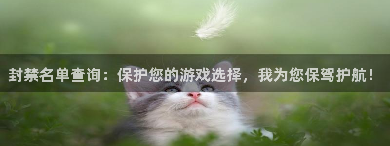亿万28价格：封禁名单查询：保护您的游戏选择，我为您保驾护航！