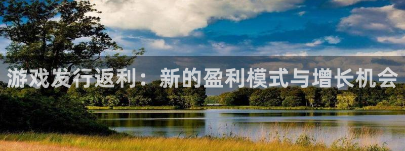 亿万28官网客服招聘：游戏发行返利：新的盈利模式与增长机会