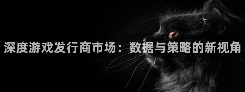 亿万28官网挂机项目怎么样：深度游戏发行商市场：数据与策略的新视角
