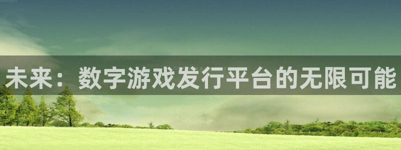 亿万28官网游戏怎么注册：未来：数字游戏发行平台的无限可能
