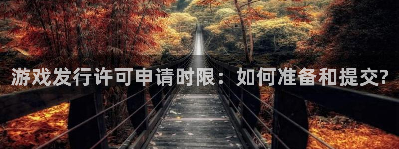 亿万28官网登录注册账号是什么样的：游戏发行许可申请时限：如何准备和提交?