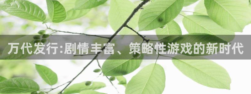 亿万28官网登录注册账号失败怎么办