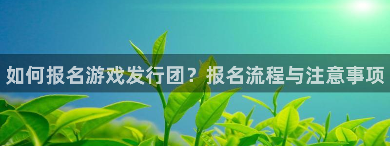 亿万28官网的奇趣腾讯是真的吗还是假的：如何报名游戏发行团？报名流程与注意事项