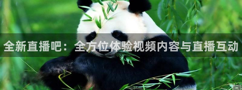 24直播足球免费观看入口：全新直播吧：全方位体验视频内容与直播互动