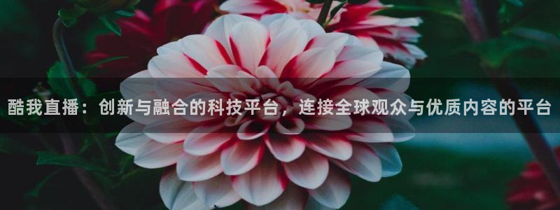 24直播网app：酷我直播：创新与融合的科技平台，连接全球观众与优质内容的平台