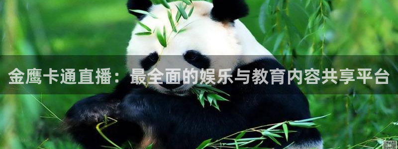 24直播网nba在线直播：金鹰卡通直播：最全面的娱乐与教育内容共享平台