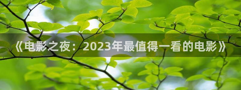24直播体育在线看：《电影之夜：2023年最值得一看的电影》