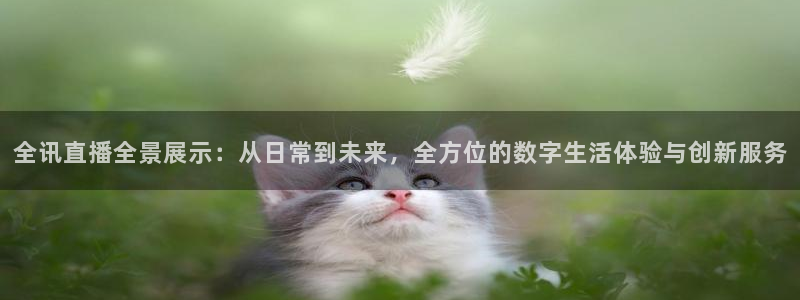 nba免费直播24直播网：全讯直播全景展示：从日常到未来，全方位的数字生活体验与创新服务