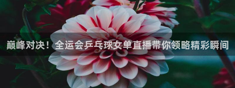 24直播网官网：巅峰对决！全运会乒乓球女单直播带你领略精彩瞬间