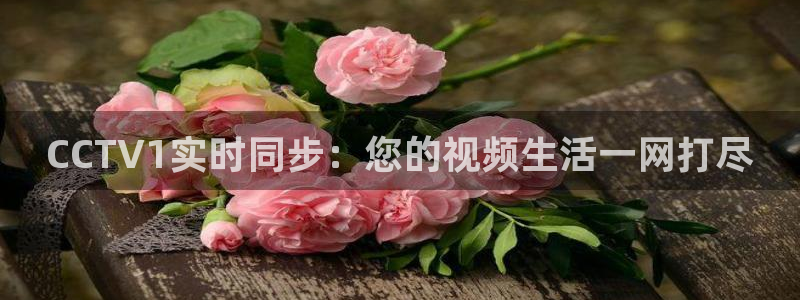 24直播网nba直播jrs：CCTV1实时同步：您的视频生活一网打尽