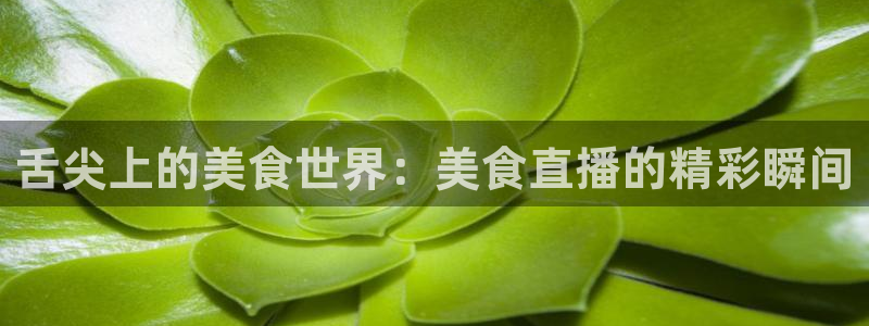 24直播足球免费观看入口：舌尖上的美食世界：美食直播的精彩瞬间