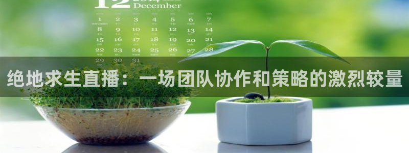 足球24直播免费观看：绝地求生直播：一场团队协作和策略的激烈较量