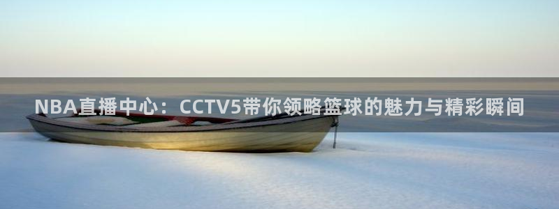 24直播免费足球直播：NBA直播中心：CCTV5带你领略篮球的魅力与精彩瞬间