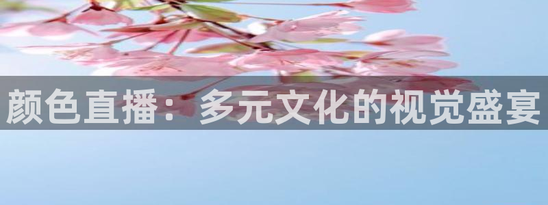 24直播网nba在线直播：颜色直播：多元文化的视觉盛宴