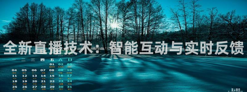 24直播 体育：全新直播技术：智能互动与实时反馈